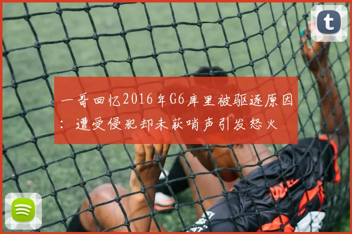 一哥回忆2016年G6库里被驱逐原因：遭受侵犯却未获哨声引发怒火